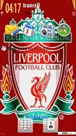 Download mobile theme Liverpool