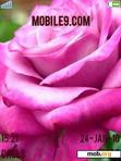 Download mobile theme Pink Rose