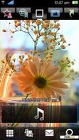 Download mobile theme Flower With Tone