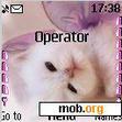 Download mobile theme cute cat