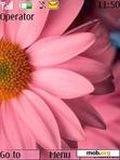 Download mobile theme pink flowers