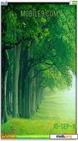 Download mobile theme BEAUTIFULL TREES PART OF PERADISEBEAUTIF