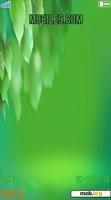 Download mobile theme BEAUTIFULL TREES PART OF PERADISESBEAUTI