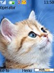 Download mobile theme Animated Cute Kitty