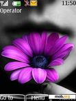 Download mobile theme purple flower