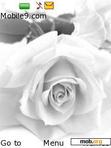 Download mobile theme white_rose