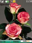 Download mobile theme roses