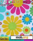 Download mobile theme colorful flowers