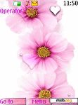 Download mobile theme Flower