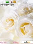 Download mobile theme WHITE ROSE56