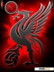 Download mobile theme Liverpool