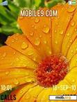 Download mobile theme Raindrops