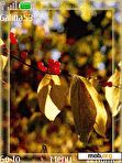 Download mobile theme Autumn mood