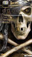 Download mobile theme Pirate skull