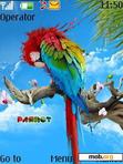 Download mobile theme parrot