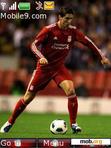 Download mobile theme Fernando_Torres