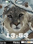 Скачать тему big cats