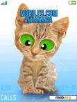 Download mobile theme Cat Smile