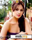 Download mobile theme Anjana