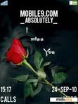 Download mobile theme Red Rose Miss You
