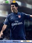 Download mobile theme Fabregas