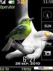 Download mobile theme Bird