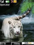 Download mobile theme White Tiger