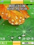 Download mobile theme SA_Autumn-TMC-260