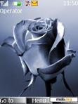 Download mobile theme Blue Silver Rose