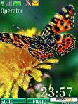 Download mobile theme Butterfly