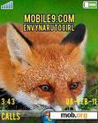 Download mobile theme FOX