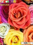 Download mobile theme Roses