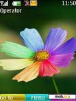 Download mobile theme Colorful Flower