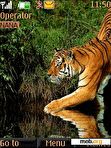 Download mobile theme Tiger In Water