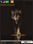 Download mobile theme Dark Wolf