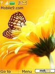 Download mobile theme Sunflower