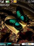 Download mobile theme Tirkuaz Butterfly By ACAPELLA