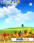 Download mobile theme tulips nature