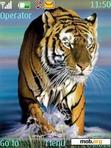 Download mobile theme Tiger