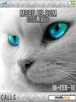 Download mobile theme Grey Cat