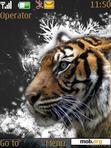 Download mobile theme Tiger
