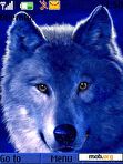 Download mobile theme Wolf