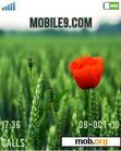 Download mobile theme Poppy