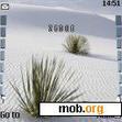 Download mobile theme White Sands