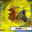 Download mobile theme Butterfly