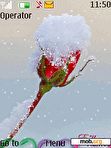 Download mobile theme Frozen Rose