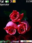 Download mobile theme Sparkling Roses