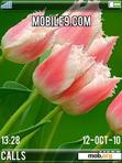 Скачать тему BIG GREEN ROSES  14