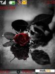 Download mobile theme Red Rose