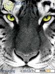 Download mobile theme Tiger